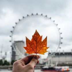 Close-up of hand holding maple leaf against ferris wheel