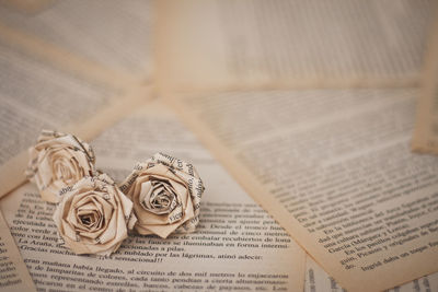 High angle view of roses on book