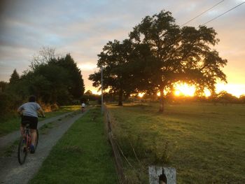 Rear view of man riding bicycle on road against sky