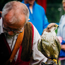 Close-up of bird