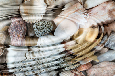 Water ripples above pebbles and seashells