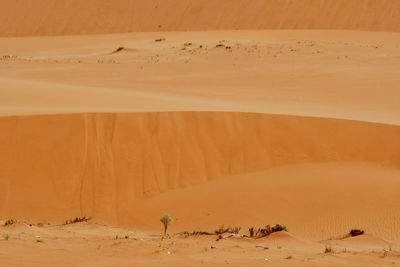 Sand dunes in a desert