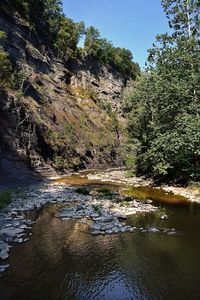 Scenic view of river in forest against sky