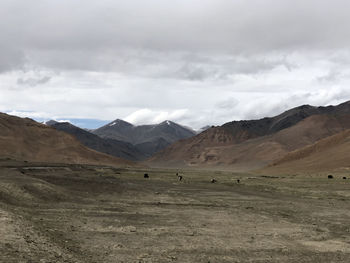 Scenic view of field and mountains against sky