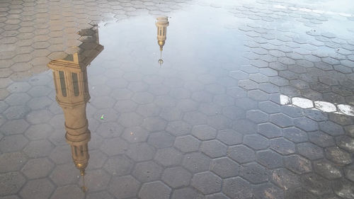 Close-up of puddle