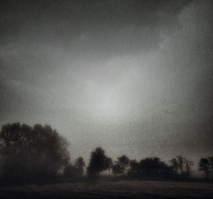 Trees on field against cloudy sky