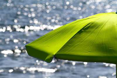 Close-up of wet leaf floating on water