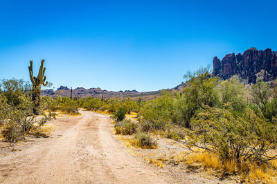 Dirt road amidst plants against clear blue sky