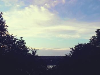 Low angle view of trees against sky