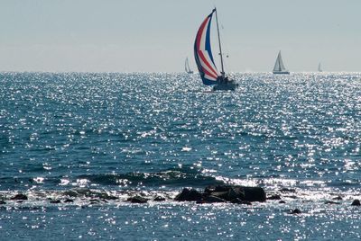 Boats sailing in sea