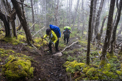 Two middle aged female hikers on east coast trail