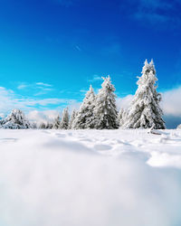 Snow covered landscape against blue sky