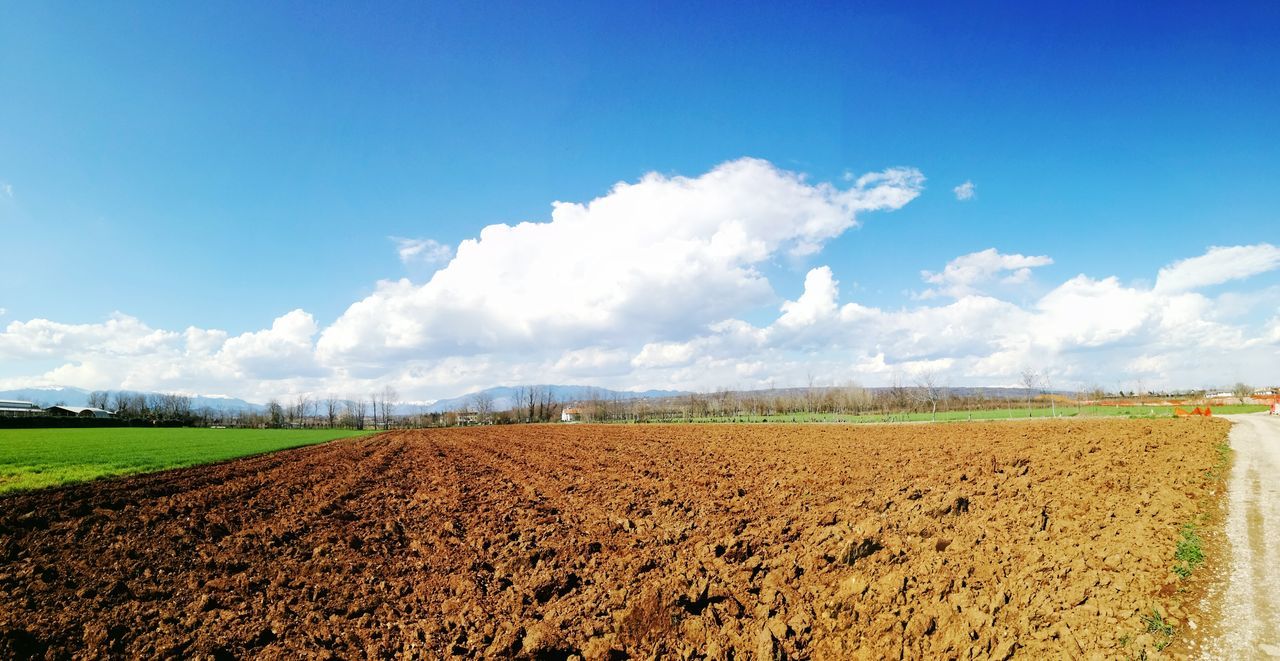 sky, landscape, cloud - sky, environment, land, field, agriculture, tranquil scene, tranquility, scenics - nature, day, rural scene, beauty in nature, nature, plough, farm, no people, plant, blue, growth, outdoors, plantation