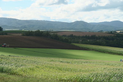 Scenic view of field against sky