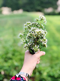 Midsection of woman holding flowering plant