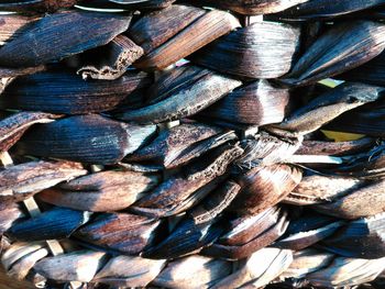 Full frame shot of firewood