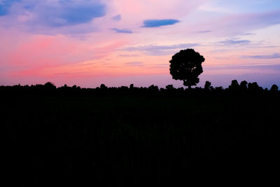 Silhouette trees on field against sky at sunset