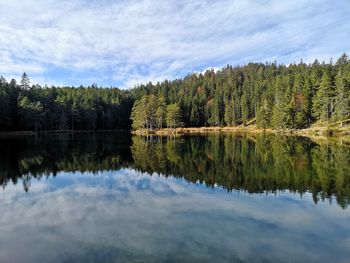 Scenic view of lake by trees against sky