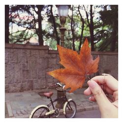 Cropped image of person in autumn leaves