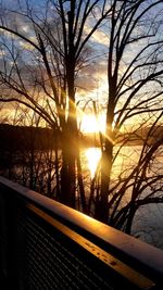 Silhouette bare trees against sky during sunset