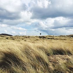 Scenic view of landscape against cloudy sky