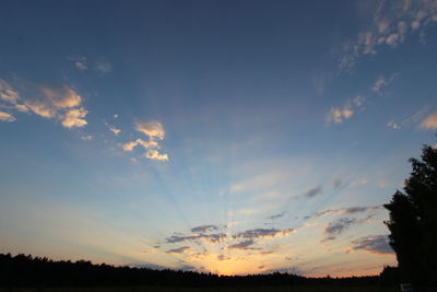 Low angle view of silhouette trees against sky during sunset