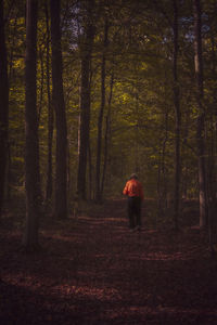 Rear view of man walking in forest