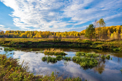 Reflection of trees in lake against sky