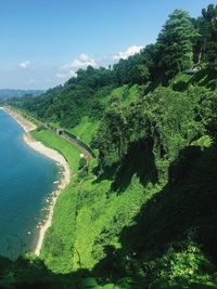 High angle view of trees on beach against sky