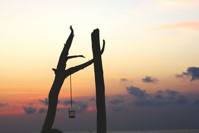 Close-up of silhouette tree against sky at sunset