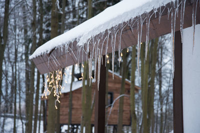 Icicles hanging from roof