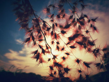 Close-up of leaves against sky