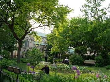 Trees and plants in garden