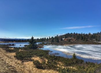 Scenic view of beach against clear sky