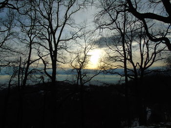 Silhouette bare trees against sky during sunset