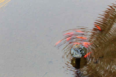 High angle view of rippled water in sea