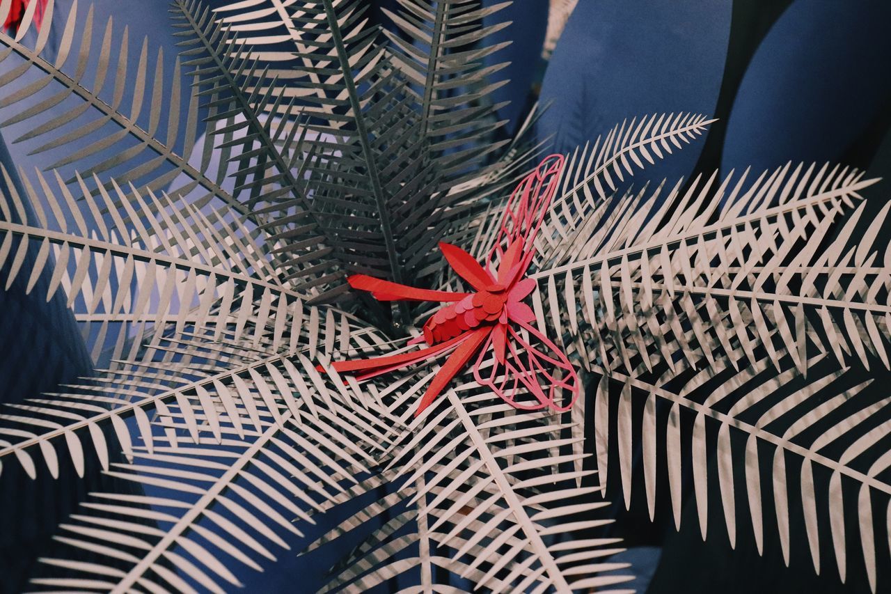 CLOSE-UP OF CHRISTMAS DECORATIONS ON BOX