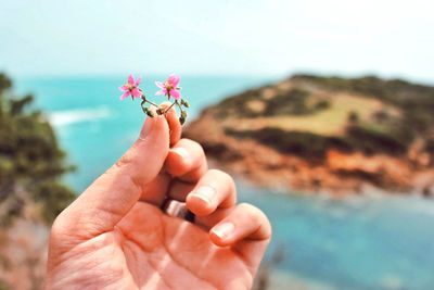 Cropped image of hand holding flower at sea shore