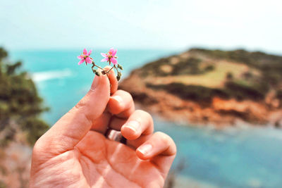 Cropped image of hand holding flower at sea shore