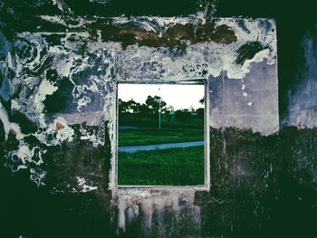 Trees on field seen through window