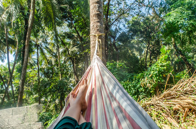 Low section of person on hammock in forest