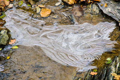 Close-up of water