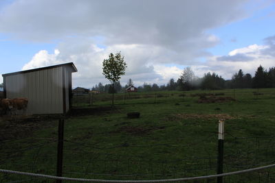 Trees on grassy field against sky