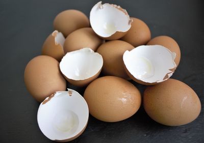 High angle view of shells on table