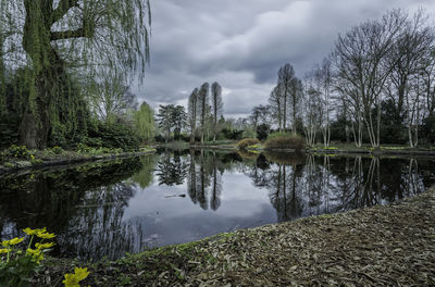 Reflection of trees in lake against sky