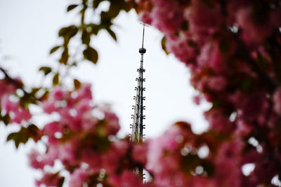 The arrow of notre dame de paris surrounded by flowers a few days before the fire