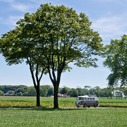 Scenic view of grassy field against sky