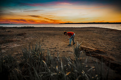 Boy collecting shell by sunrise on a summer day