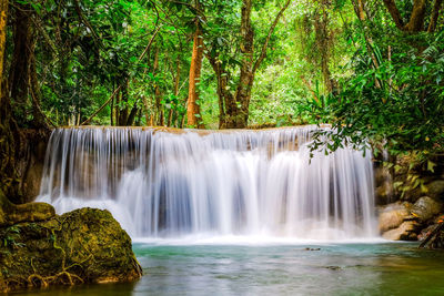 Scenic view of waterfall in forest