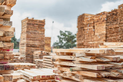 Stack of stickwood